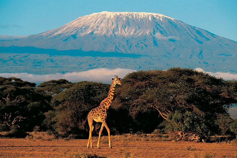 Kilimanjaro