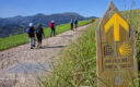 Camino de Santiago