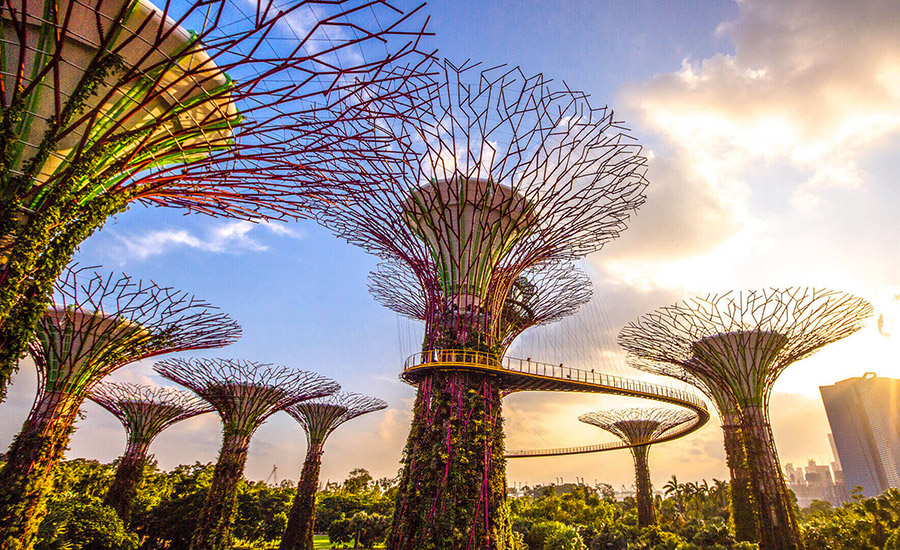 Gardens by the Bay
